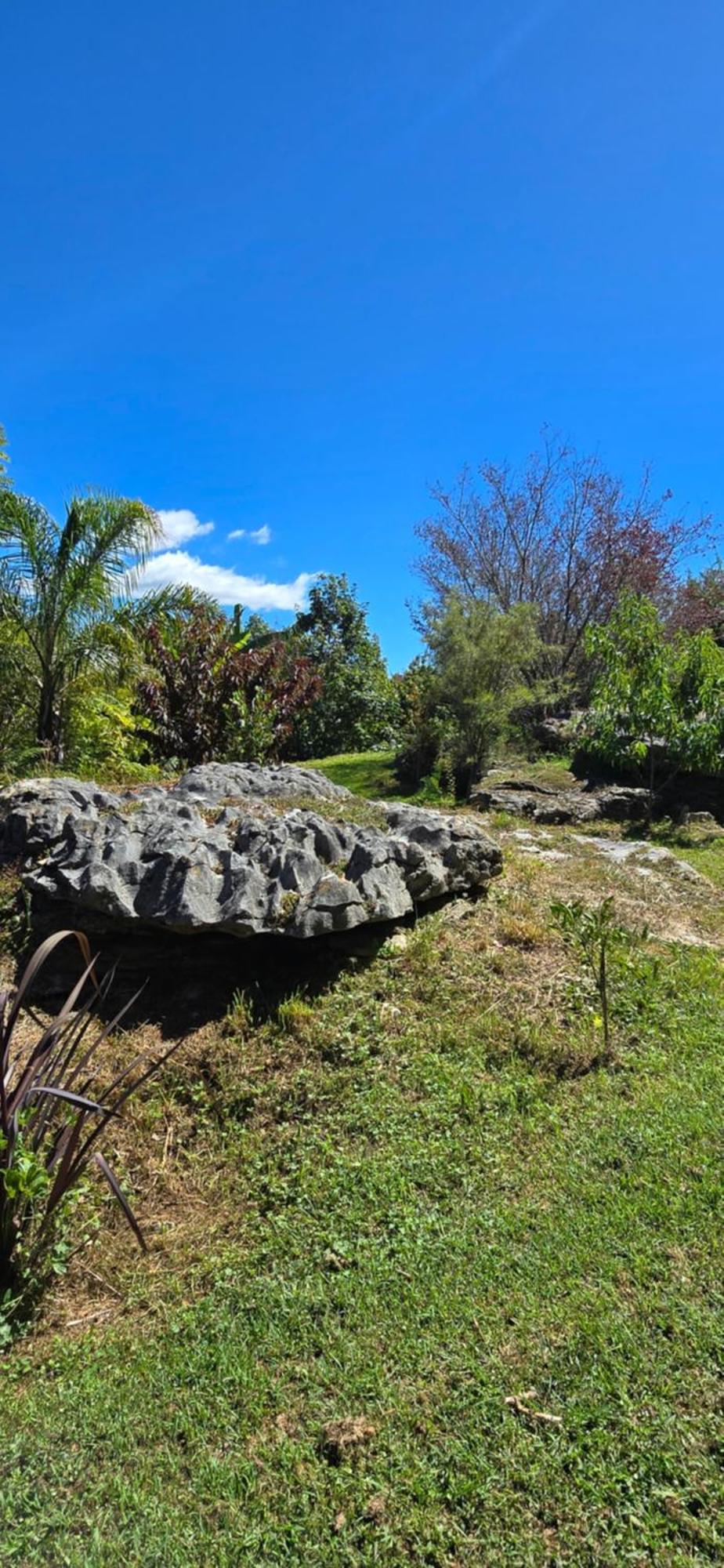 The Rocks Chalets ทาคาคา ภายนอก รูปภาพ